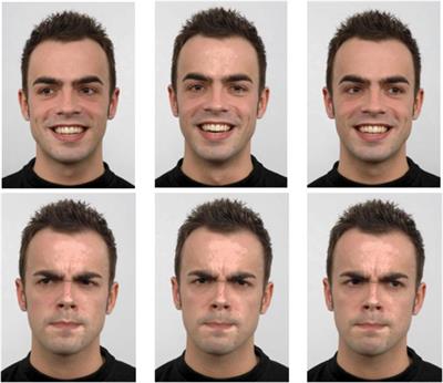 Perceived Gaze Direction Differentially Affects Discrimination of Facial Emotion, Attention, and Gender – An ERP Study